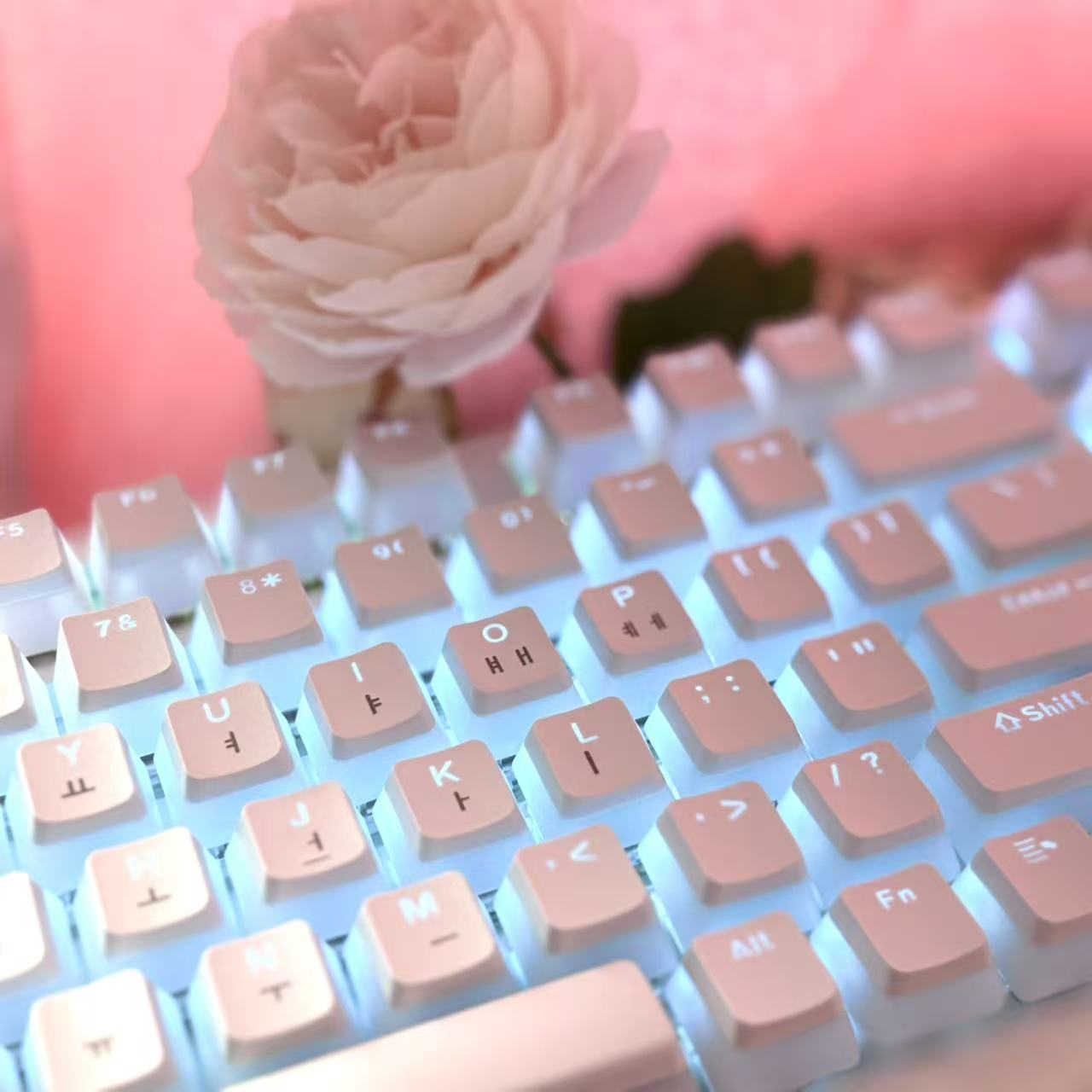 Hangul Keycap diseño coreano K - Gaming Keyboard Ergo reseña y precio